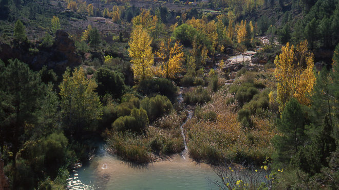 Reserva de la Biosfera Valle del Cabriel