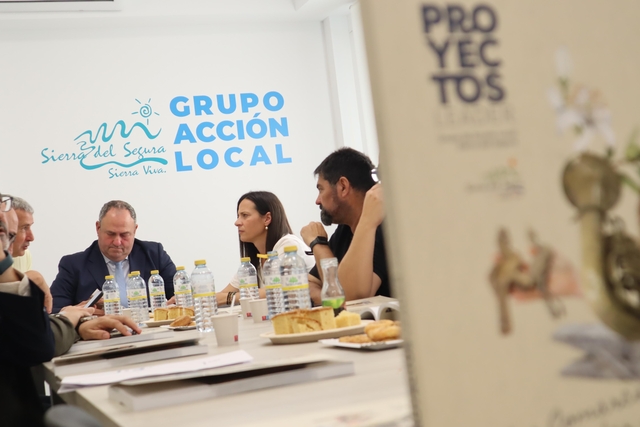 visita consejero sede